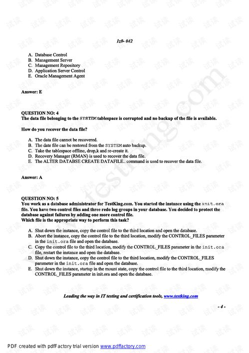 深度解析Oracle 10g OCP认证培训资料 从CSDN下载到实战指南