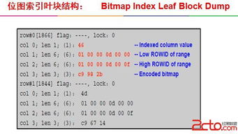 Oracle培训记录 从课程选择到认证成功的完整指南