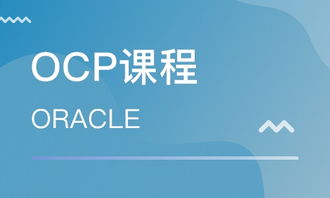 青岛Oracle认证培训指南 OCP培训班选择与排名解析